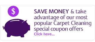 Carpet Cleaning Special Offers