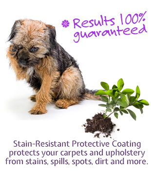 stain resistant protective