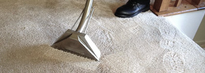 carpet cleaning service